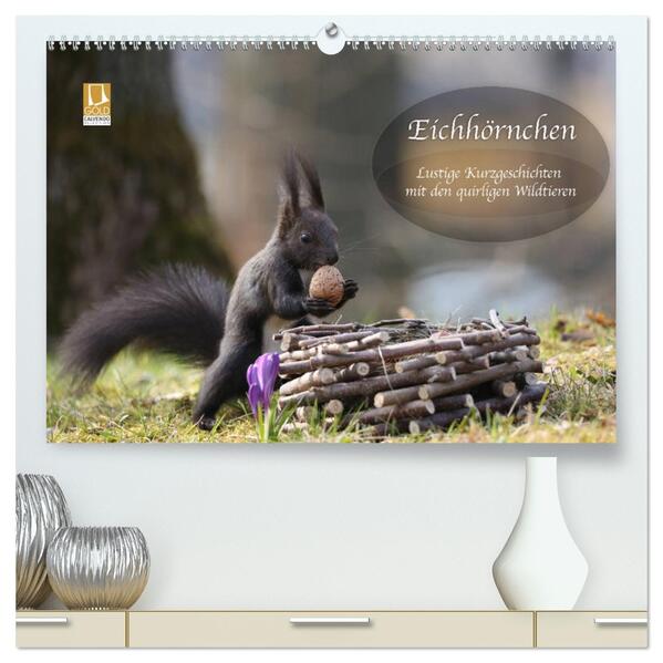 Eichhörnchen - Lustige Kurzgeschichten mit den quirligen Wildtieren (hochwertiger Premium Wandkalender 2026 DIN A2 quer) Kunstdruck in Hochglanz