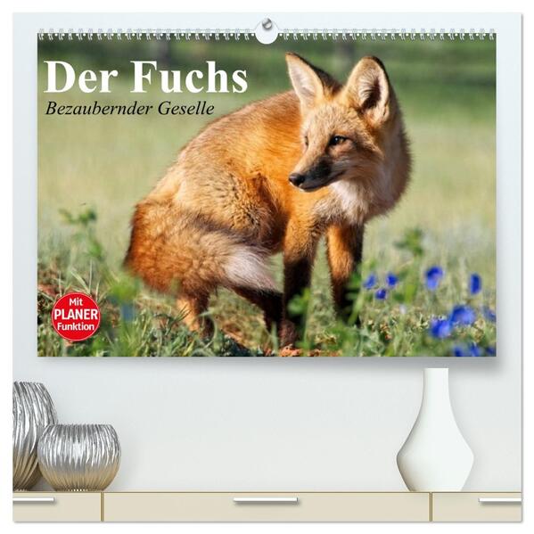 Der Fuchs. Bezaubernder Geselle (hochwertiger Premium Wandkalender 2026 DIN A2 quer) Kunstdruck in Hochglanz