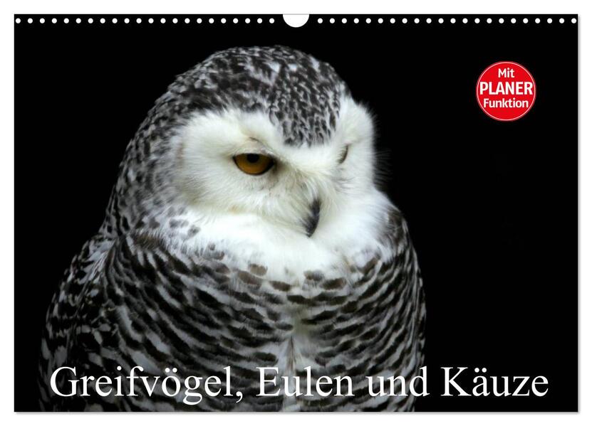Greifvögel Eulen und Käuze (Wandkalender 2026 DIN A3 quer) CALVENDO Monatskalender
