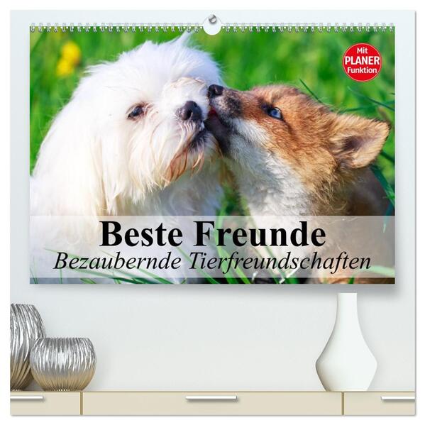 Beste Freunde. Bezaubernde Tierfreundschaften (hochwertiger Premium Wandkalender 2026 DIN A2 quer) Kunstdruck in Hochglanz