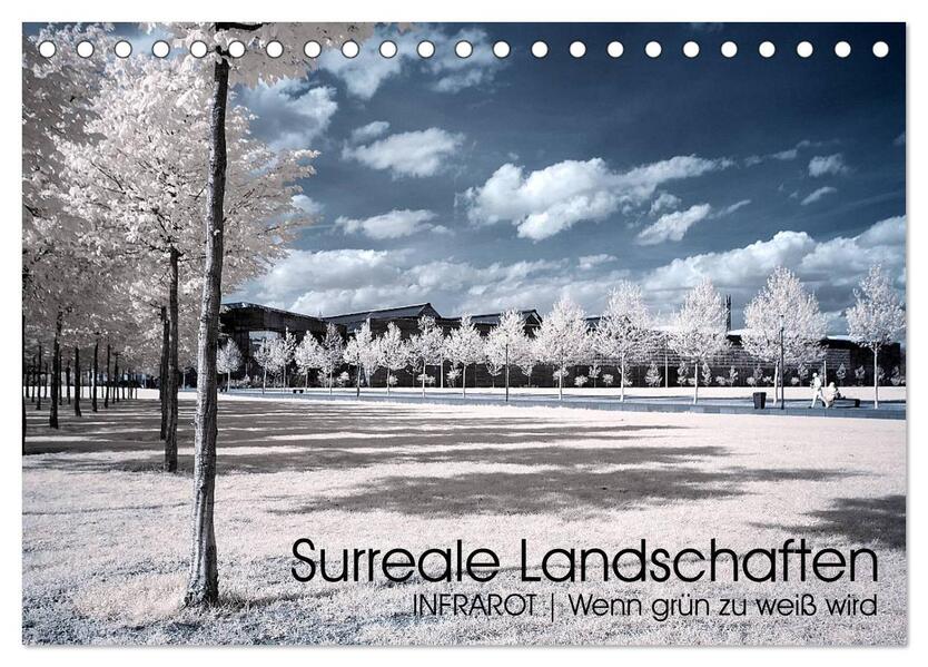 Surreale Landschaften. INFRARROT - Wenn grün zu weiß wird (Tischkalender 2026 DIN A5 quer) CALVENDO Monatskalender