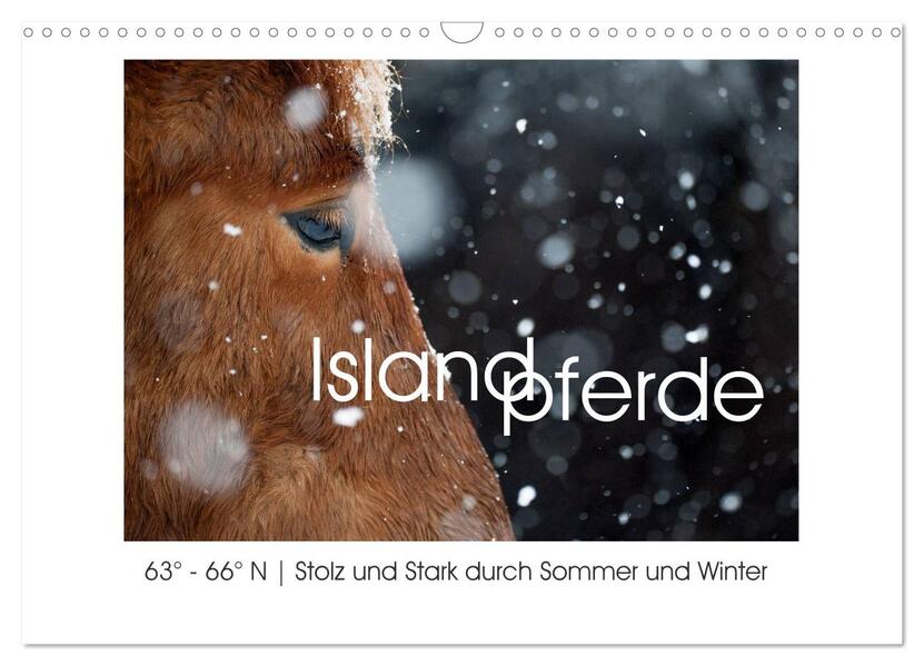 Islandpferde - Stolz und Stark durch Sommer und Winter (Wandkalender 2026 DIN A3 quer) CALVENDO Monatskalender