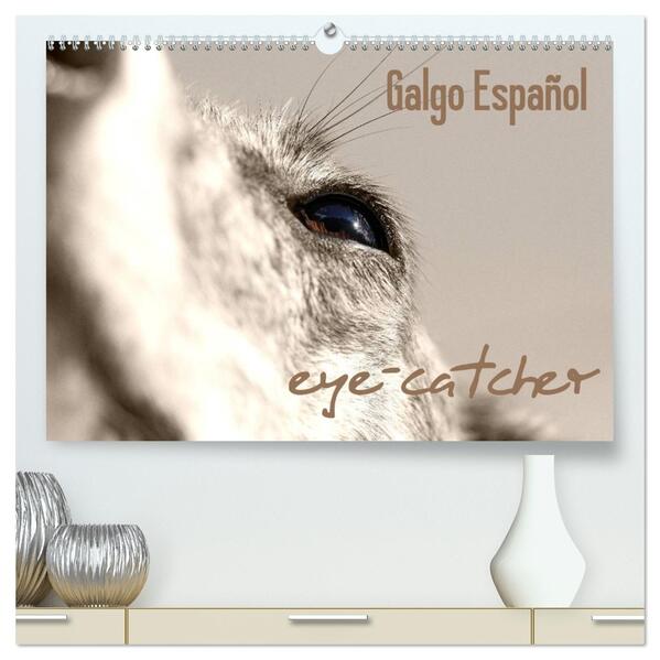 Galgo eye-catcher (hochwertiger Premium Wandkalender 2026 DIN A2 quer) Kunstdruck in Hochglanz