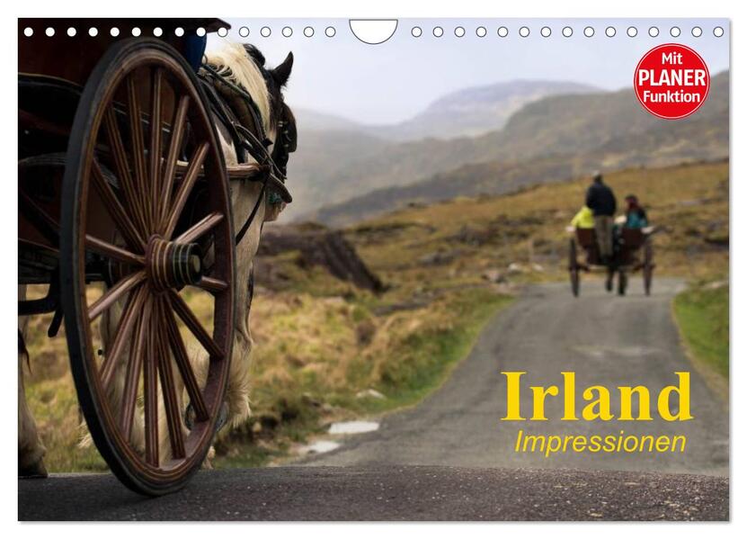 Irland. Impressionen (Wandkalender 2026 DIN A4 quer) CALVENDO Monatskalender