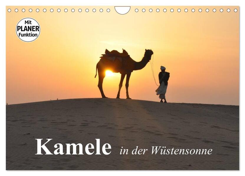 Kamele in der Wüstensonne (Wandkalender 2026 DIN A4 quer) CALVENDO Monatskalender