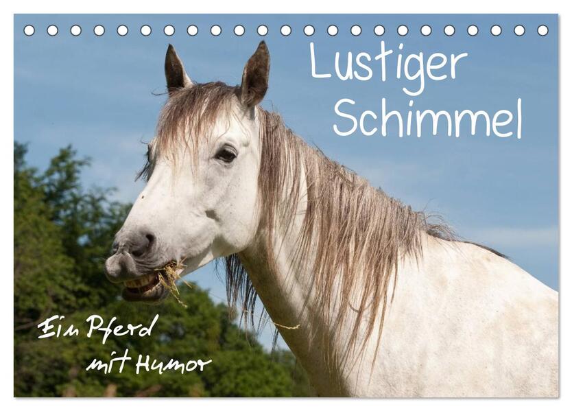 Lustiger Schimmel - ein Pferd mit Humor (Tischkalender 2026 DIN A5 quer) CALVENDO Monatskalender
