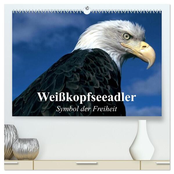 Weißkopfseeadler. Symbol der Freiheit (hochwertiger Premium Wandkalender 2026 DIN A2 quer) Kunstdruck in Hochglanz