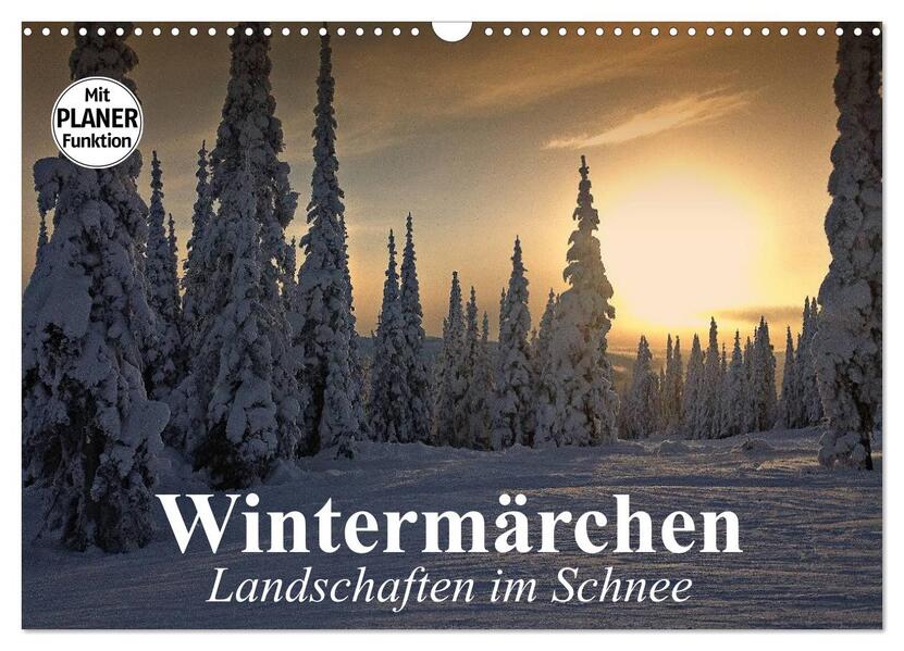Wintermärchen. Landschaften im Schnee (Wandkalender 2026 DIN A3 quer) CALVENDO Monatskalender