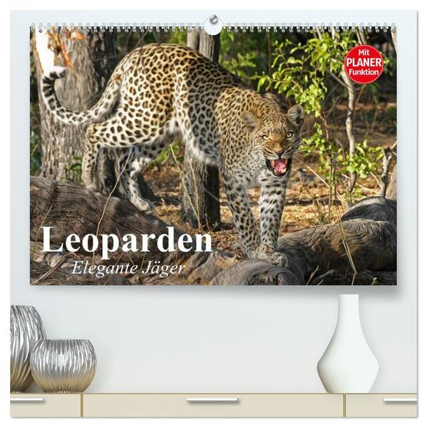 Leoparden. Elegante Jäger (hochwertiger Premium Wandkalender 2026 DIN A2 quer) Kunstdruck in Hochglanz