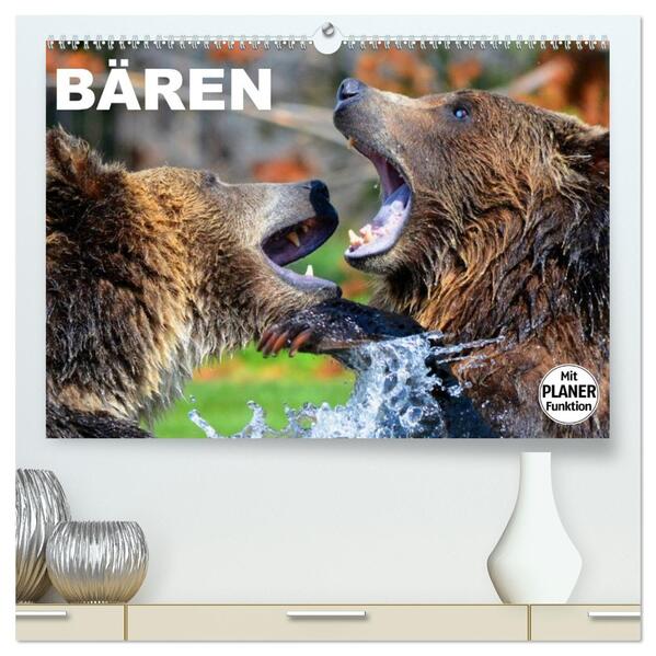 Bären (hochwertiger Premium Wandkalender 2026 DIN A2 quer) Kunstdruck in Hochglanz