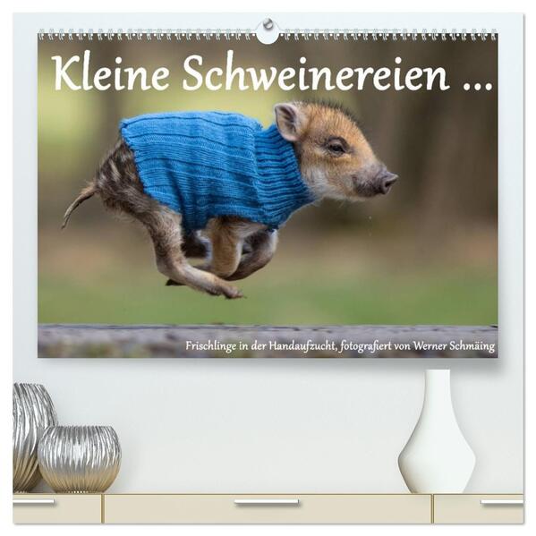 Kleine Schweinereien (hochwertiger Premium Wandkalender 2026 DIN A2 quer) Kunstdruck in Hochglanz