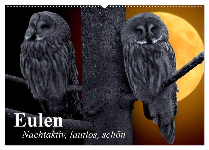 Eulen. Nachtaktiv lautlos schön (Wandkalender 2026 DIN A2 quer) CALVENDO Monatskalender