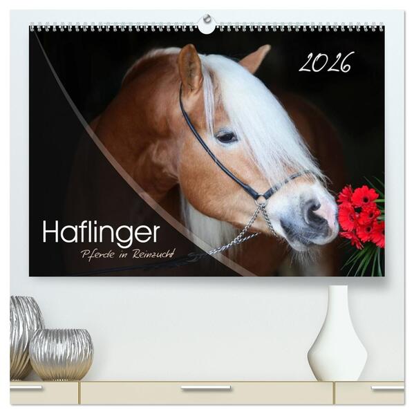 Haflinger-Pferde in Reinzucht (hochwertiger Premium Wandkalender 2026 DIN A2 quer) Kunstdruck in Hochglanz