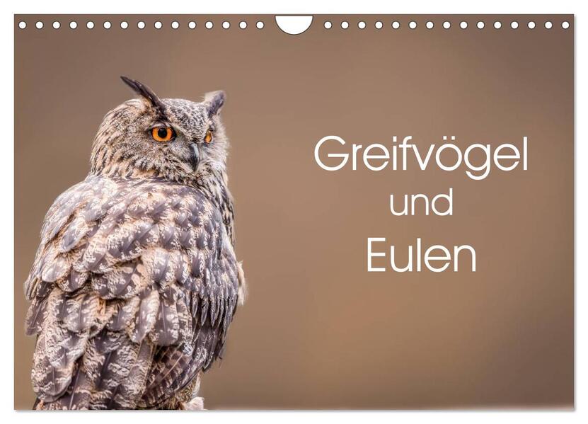 Greifvögel und Eulen (Wandkalender 2026 DIN A4 quer) CALVENDO Monatskalender