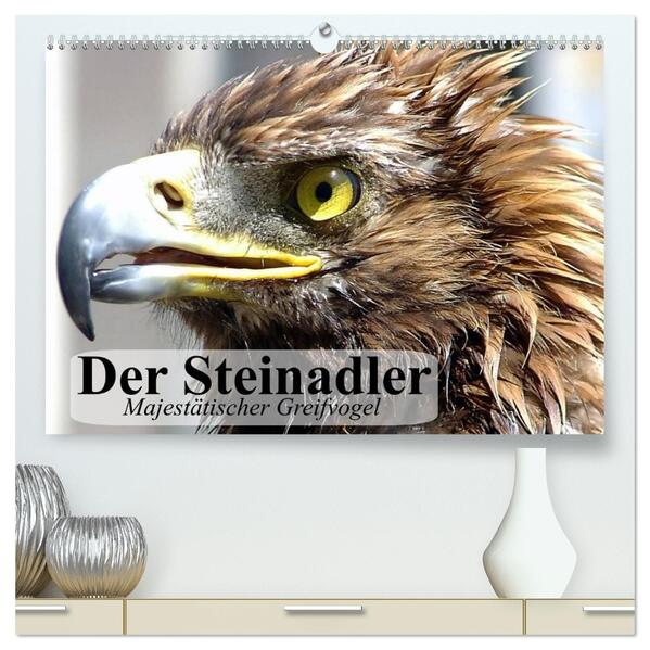 Der Steinadler. Majestätischer Greifvogel (hochwertiger Premium Wandkalender 2026 DIN A2 quer) Kunstdruck in Hochglanz