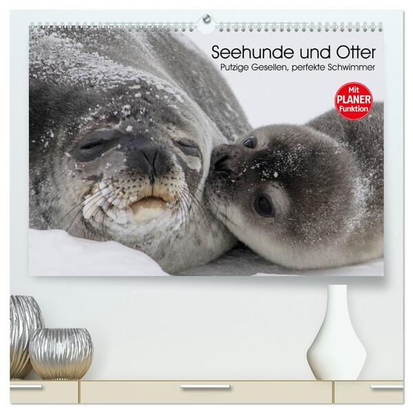 Seehunde und Otter. Putzige Gesellen perfekte Schwimmer (hochwertiger Premium Wandkalender 2026 DIN A2 quer) Kunstdruck in Hochglanz