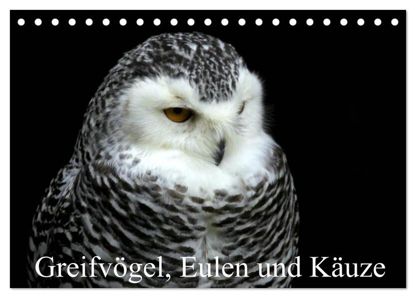 Greifvögel Eulen und Käuze (Tischkalender 2026 DIN A5 quer) CALVENDO Monatskalender