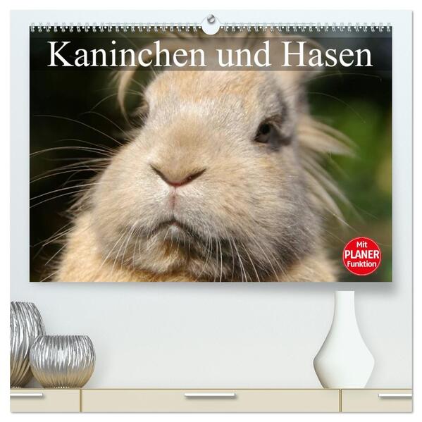 Kaninchen und Hasen (hochwertiger Premium Wandkalender 2026 DIN A2 quer) Kunstdruck in Hochglanz