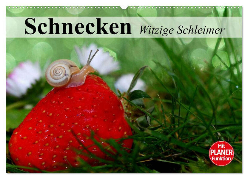 Schnecken. Witzige Schleimer (Wandkalender 2026 DIN A2 quer) CALVENDO Monatskalender