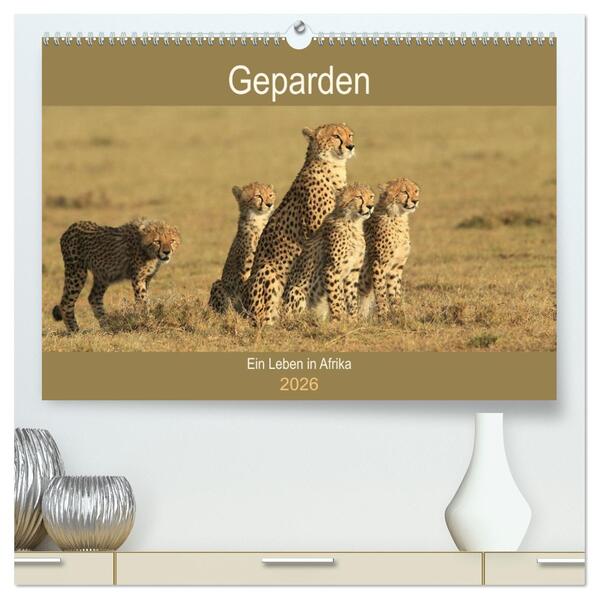 Geparden - Ein Leben in Afrika (hochwertiger Premium Wandkalender 2026 DIN A2 quer) Kunstdruck in Hochglanz