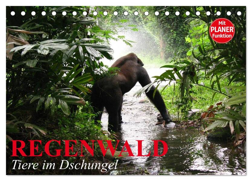 Regenwald. Tiere im Dschungel (Tischkalender 2026 DIN A5 quer) CALVENDO Monatskalender