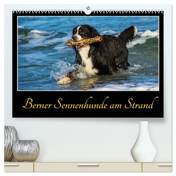 Berner Sennenhunde am Strand (hochwertiger Premium Wandkalender 2026 DIN A2 quer) Kunstdruck in Hochglanz