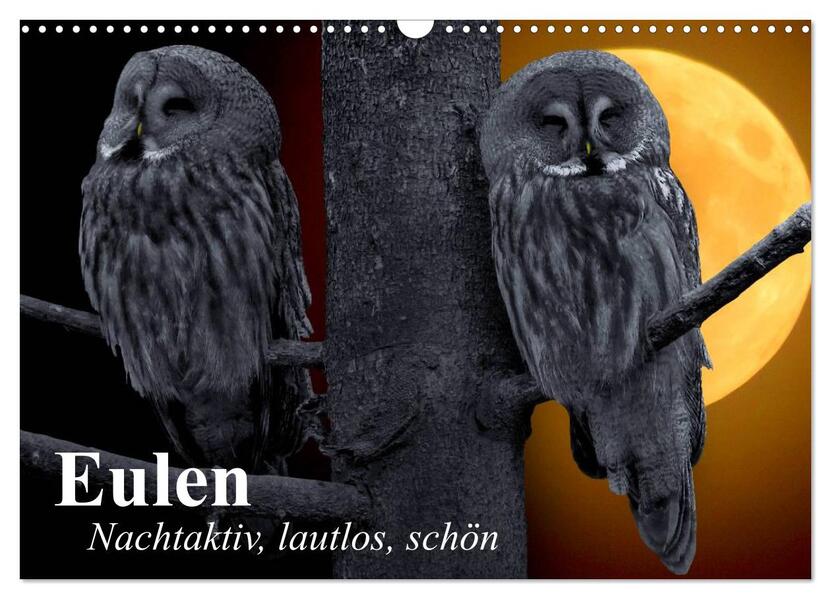 Eulen. Nachtaktiv lautlos schön (Wandkalender 2026 DIN A3 quer) CALVENDO Monatskalender