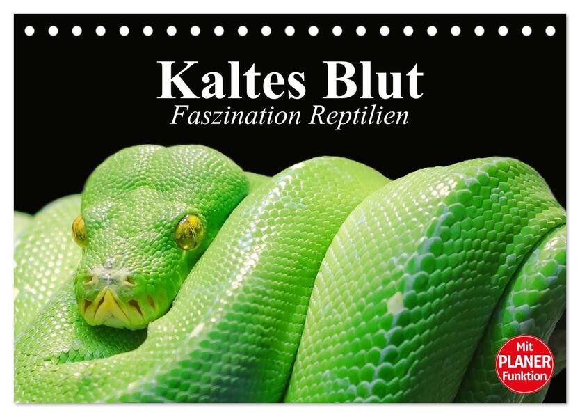 Kaltes Blut. Faszination Reptilien (Tischkalender 2026 DIN A5 quer) CALVENDO Monatskalender