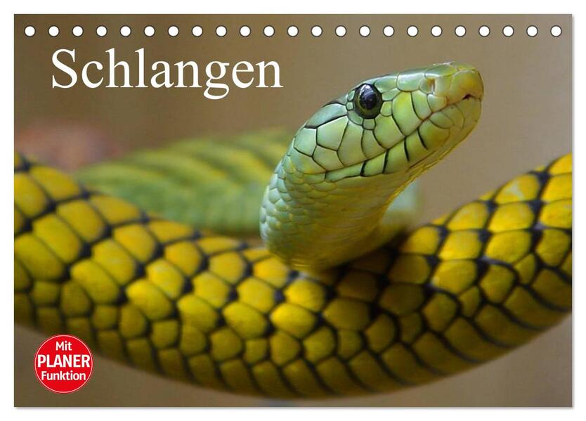 Schlangen (Tischkalender 2026 DIN A5 quer) CALVENDO Monatskalender