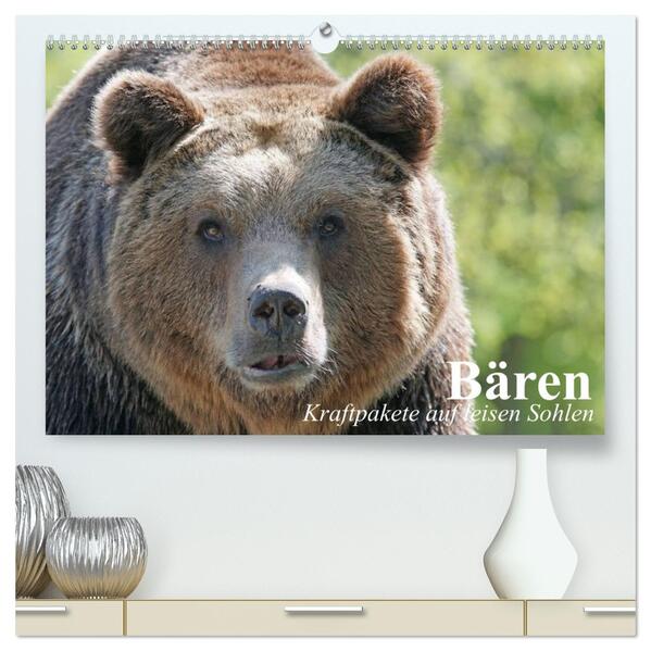 Bären. Kraftpakete auf leisen Sohlen (hochwertiger Premium Wandkalender 2026 DIN A2 quer) Kunstdruck in Hochglanz