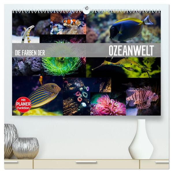 Die Farben der Ozeanwelt (hochwertiger Premium Wandkalender 2026 DIN A2 quer) Kunstdruck in Hochglanz