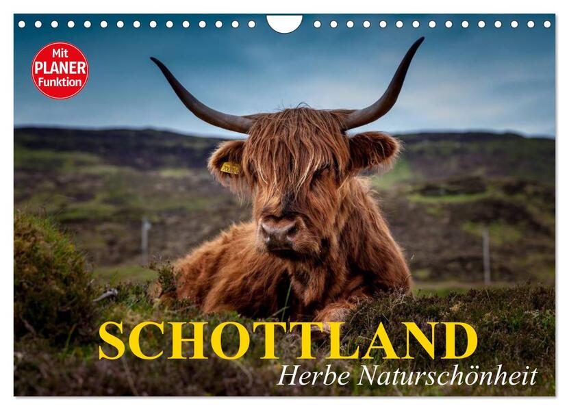 Schottland. Herbe Naturschönheit (Wandkalender 2026 DIN A4 quer) CALVENDO Monatskalender