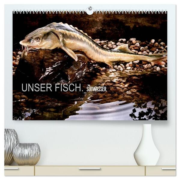 UNSER FISCH. SÜßWASSER. (hochwertiger Premium Wandkalender 2026 DIN A2 quer) Kunstdruck in Hochglanz