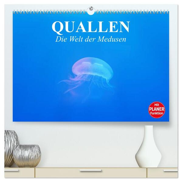 Quallen. Die Welt der Medusen (hochwertiger Premium Wandkalender 2026 DIN A2 quer) Kunstdruck in Hochglanz