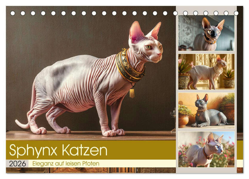 Sphinx Katzen. Eleganz auf leisen Pfoten (Tischkalender 2026 DIN A5 quer) CALVENDO Monatskalender