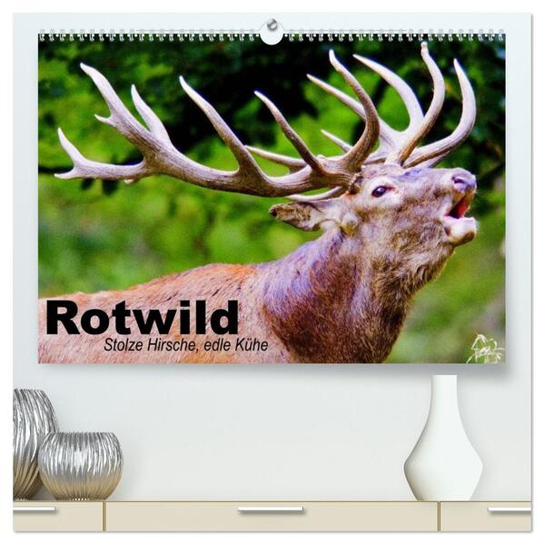 Rotwild. Edle Hirsche stolze Kühe (hochwertiger Premium Wandkalender 2026 DIN A2 quer) Kunstdruck in Hochglanz