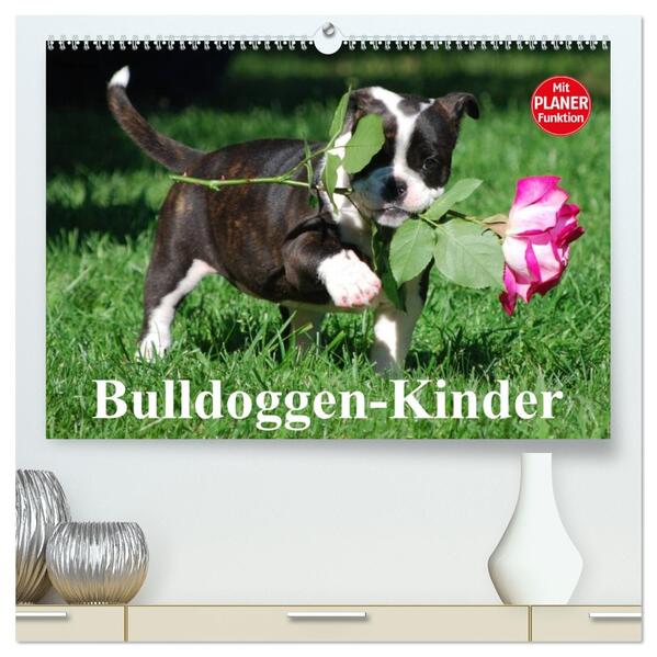 Bulldoggen-Kinder (hochwertiger Premium Wandkalender 2026 DIN A2 quer) Kunstdruck in Hochglanz