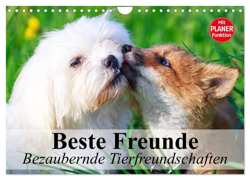 Beste Freunde. Bezaubernde Tierfreundschaften (Wandkalender 2026 DIN A4 quer) CALVENDO Monatskalender