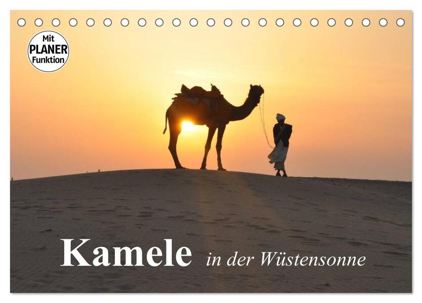 Kamele in der Wüstensonne (Tischkalender 2026 DIN A5 quer) CALVENDO Monatskalender