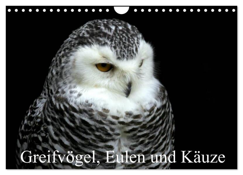 Greifvögel Eulen und Käuze (Wandkalender 2026 DIN A4 quer) CALVENDO Monatskalender