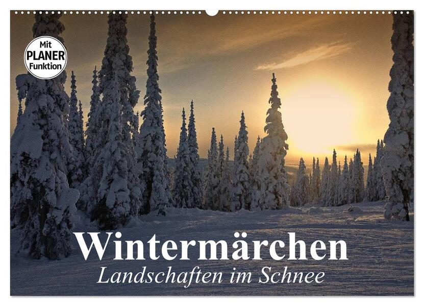 Wintermärchen. Landschaften im Schnee (Wandkalender 2026 DIN A2 quer) CALVENDO Monatskalender