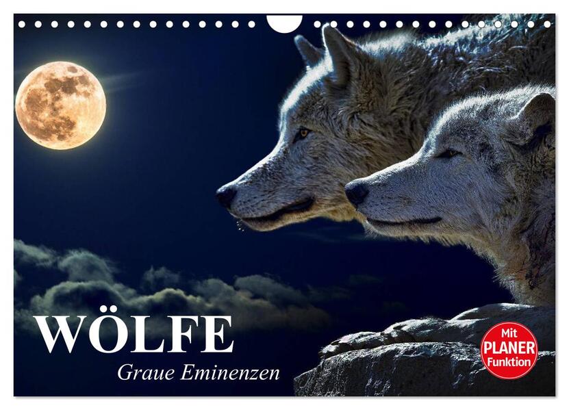 Wölfe. Graue Eminenzen (Wandkalender 2026 DIN A4 quer) CALVENDO Monatskalender