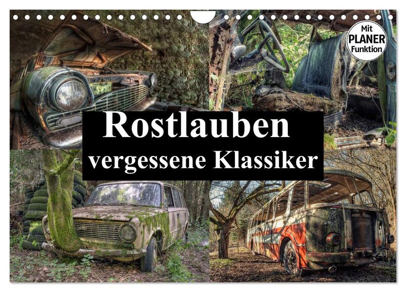 Rostlauben - vergessene Klassiker (Wandkalender 2026 DIN A4 quer) CALVENDO Monatskalender