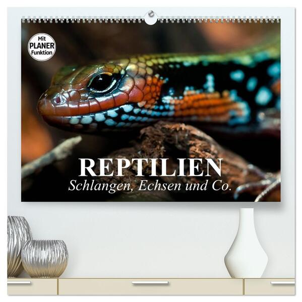 Reptilien. Schlangen Echsen und Co. (hochwertiger Premium Wandkalender 2026 DIN A2 quer) Kunstdruck in Hochglanz