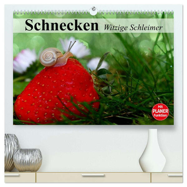 Schnecken. Witzige Schleimer (hochwertiger Premium Wandkalender 2026 DIN A2 quer) Kunstdruck in Hochglanz