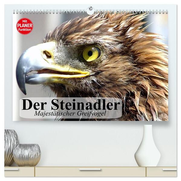 Der Steinadler. Majestätischer Greifvogel (hochwertiger Premium Wandkalender 2026 DIN A2 quer) Kunstdruck in Hochglanz