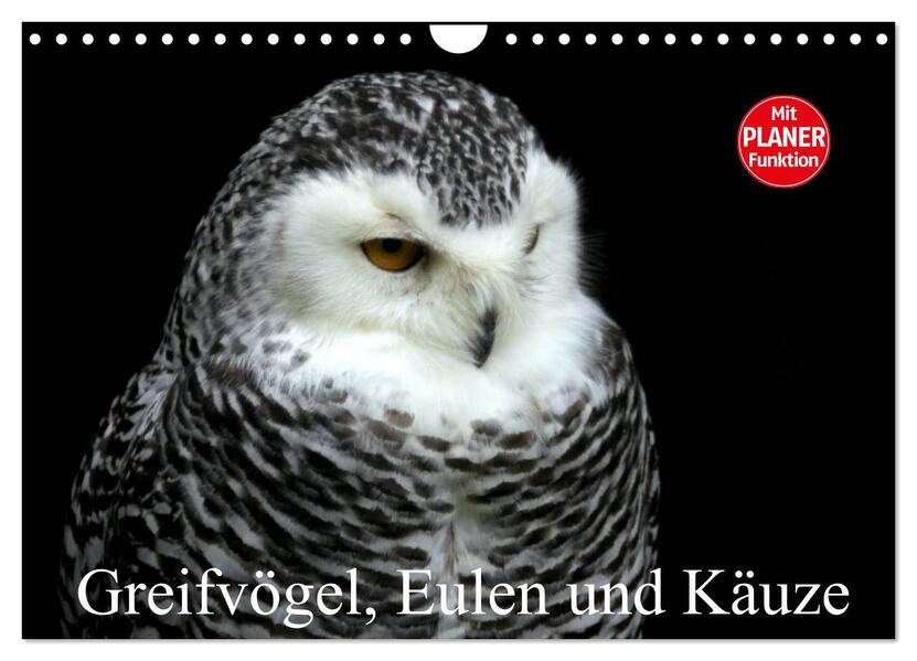 Greifvögel Eulen und Käuze (Wandkalender 2026 DIN A4 quer) CALVENDO Monatskalender
