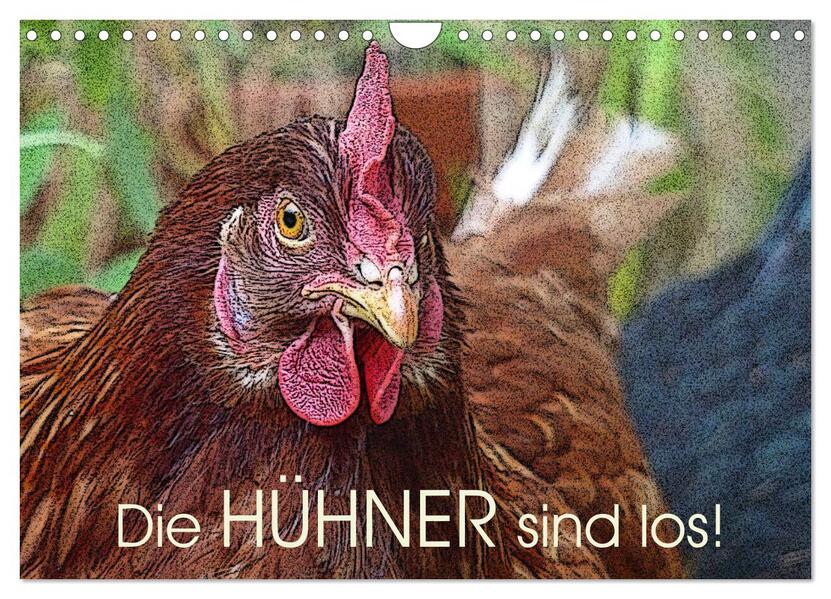 Die Hühner sind los! (Wandkalender 2026 DIN A4 quer) CALVENDO Monatskalender