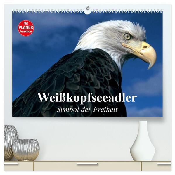 Weißkopfseeadler. Symbol der Freiheit (hochwertiger Premium Wandkalender 2026 DIN A2 quer) Kunstdruck in Hochglanz