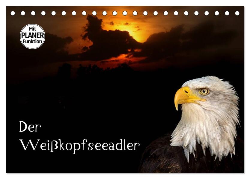 Der Weißkopfseeadler (Tischkalender 2026 DIN A5 quer) CALVENDO Monatskalender